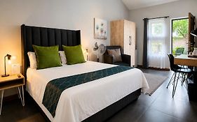 The Chameleon Stay @107